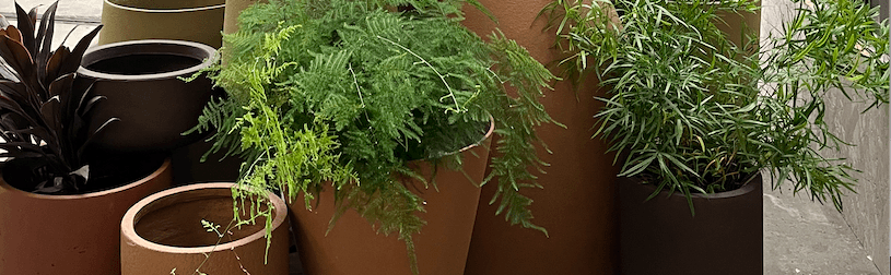 No time to waste- Event from GLUE