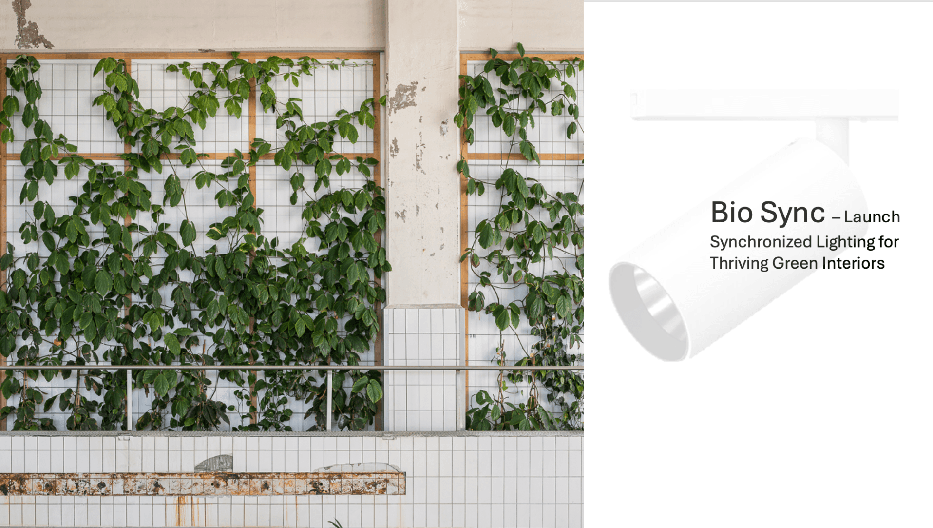 Launch BioSync for Thriving Green Interiors - Event from GLUE