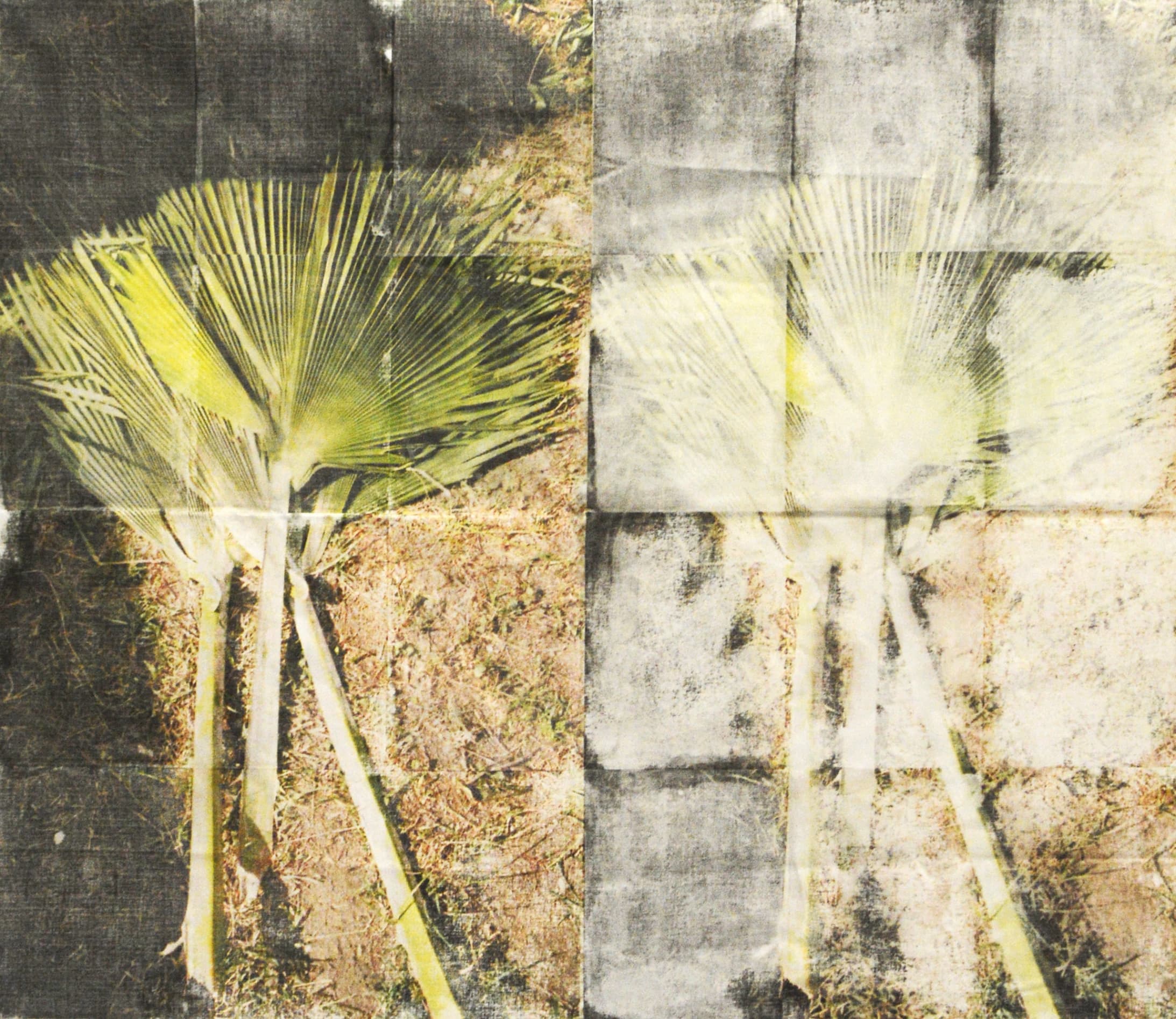 GLUE Amsterdam participant Serana Angelista, image number 3